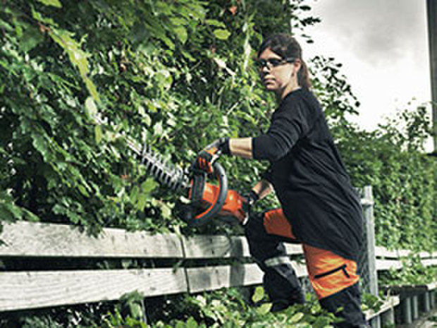 taille-entretien-haies-tailles-haies-servimac